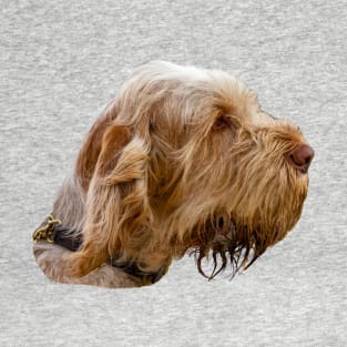 Hound waiting at a field trial T-Shirt